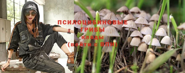 дурь Алексин
