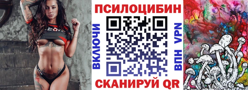 купить наркотик  Венёв  Псилоцибиновые грибы мицелий 